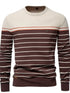 Men’s striped round neck long sleeve sweater — cozy knit pullover with classic casual design